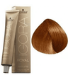 Schwarzkopf Permanent Color Igora Royal Absolutes 7